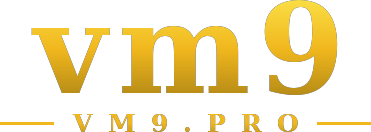 vm9 logo